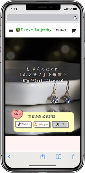 FOREST OF THE JEWELRY